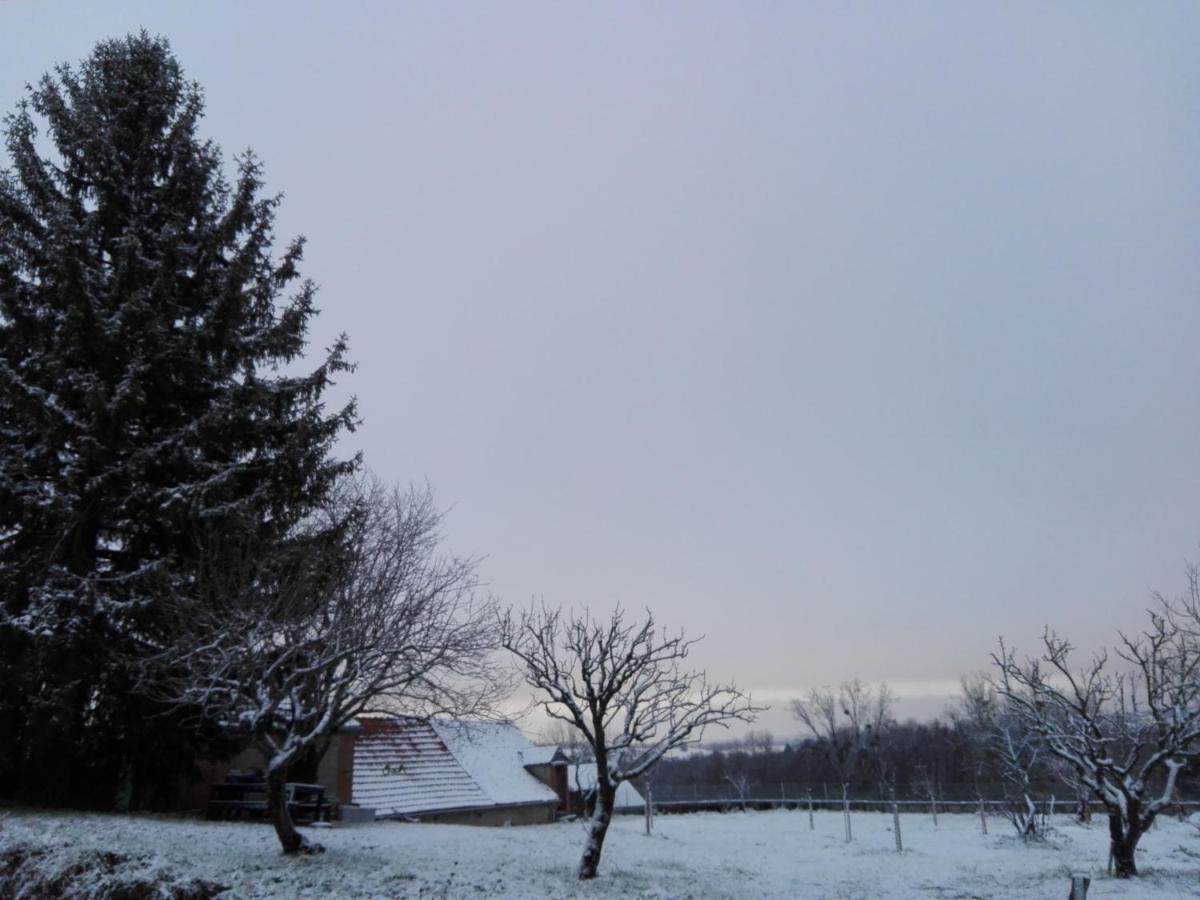 Bed and Breakfast Chez Casimir Cercy-la-Tour Экстерьер фото